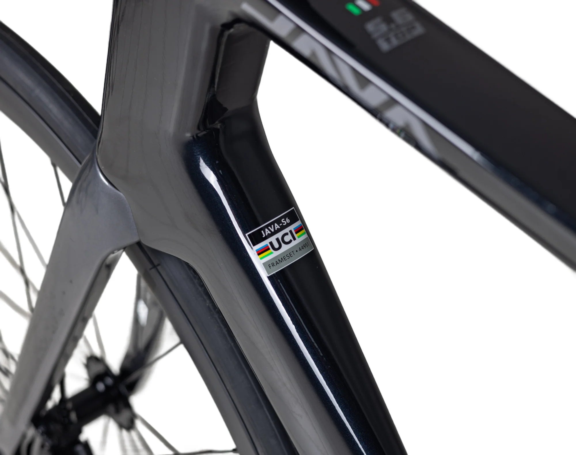 JAVA Siluro 6 Top LTWOO 12 Speed